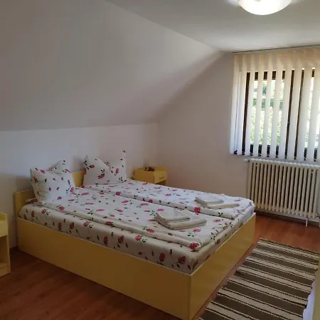 Pensionat Casa Ildiko Sovata
